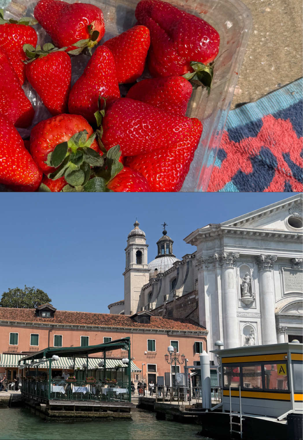 @caaagoo