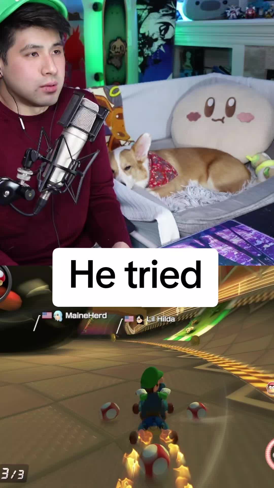 @Protocorg | Twitch Streamer