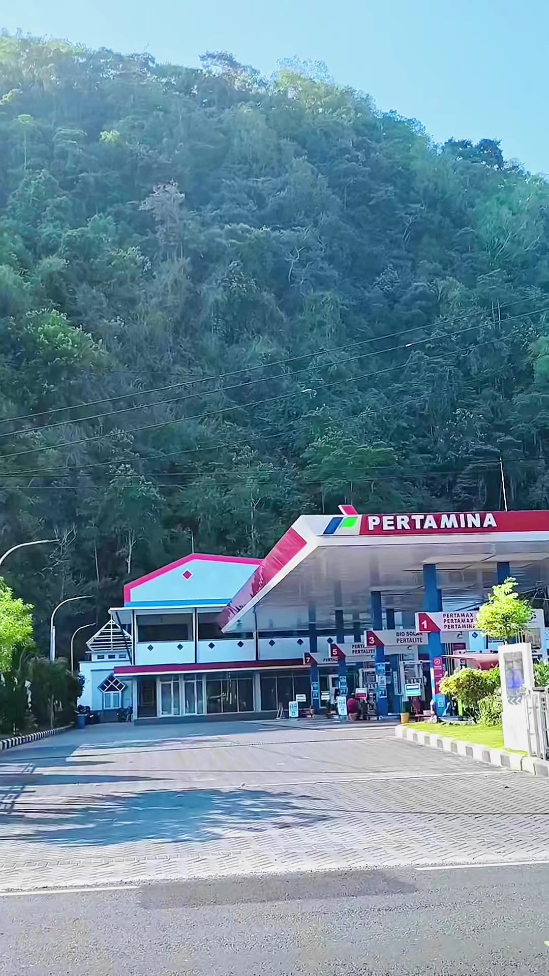 @mas vik_