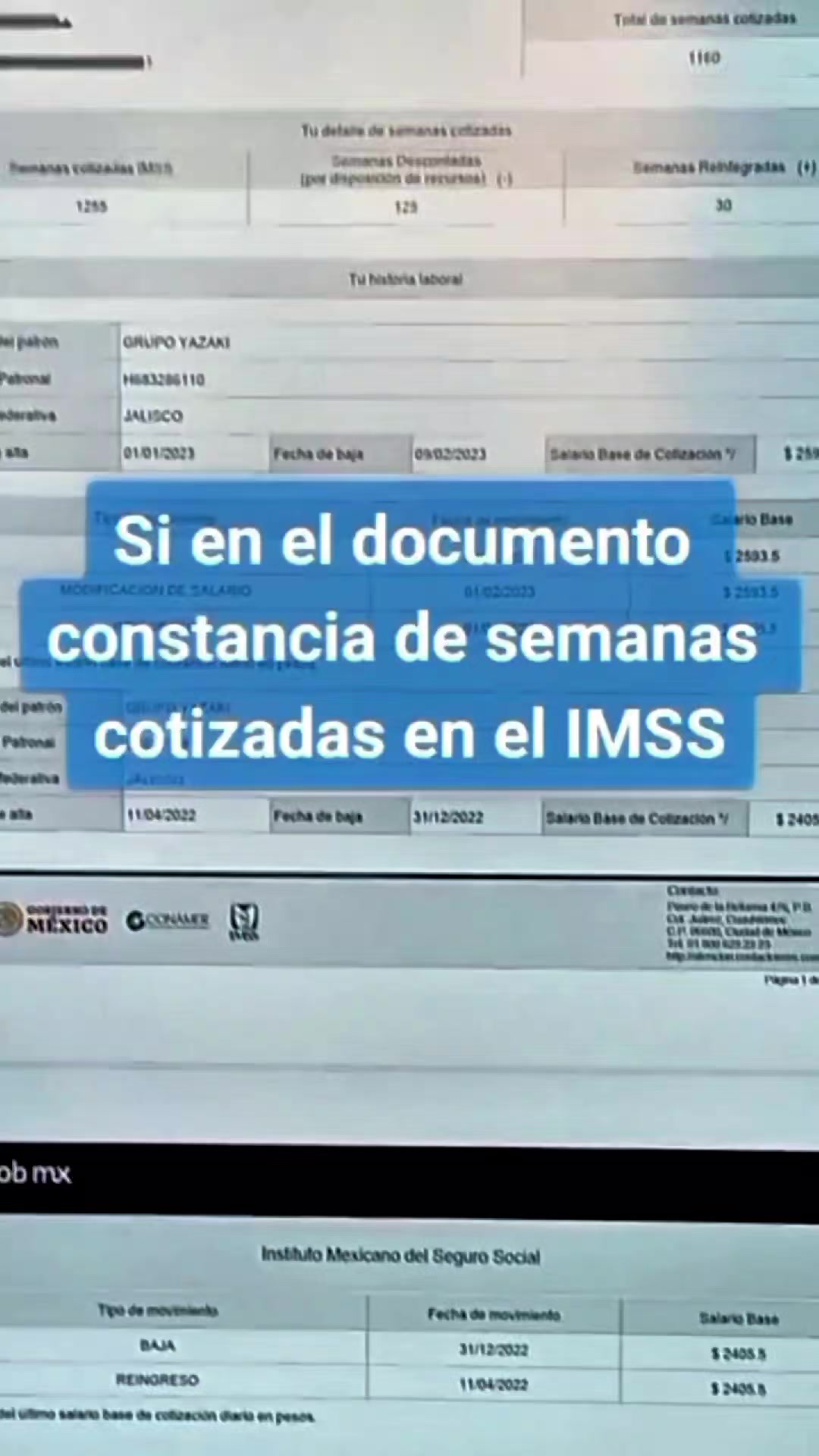 @CESAR SALDIVAR ASESOR