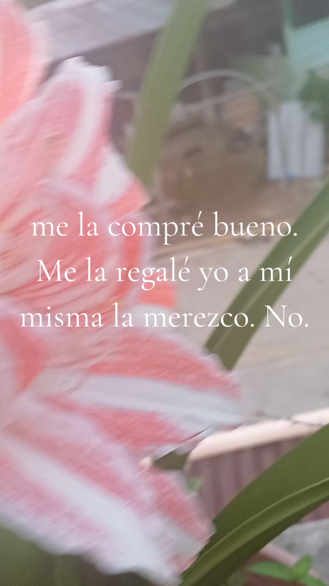 @🇬🇹🐓mibelladama00