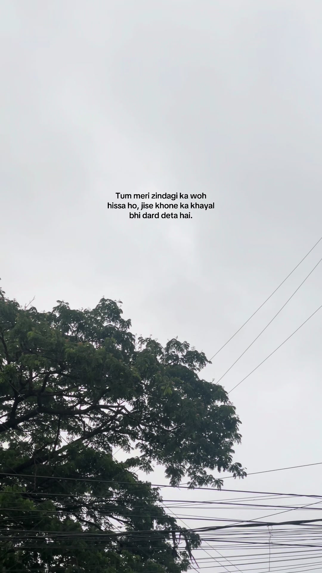 @Abidd🀄️