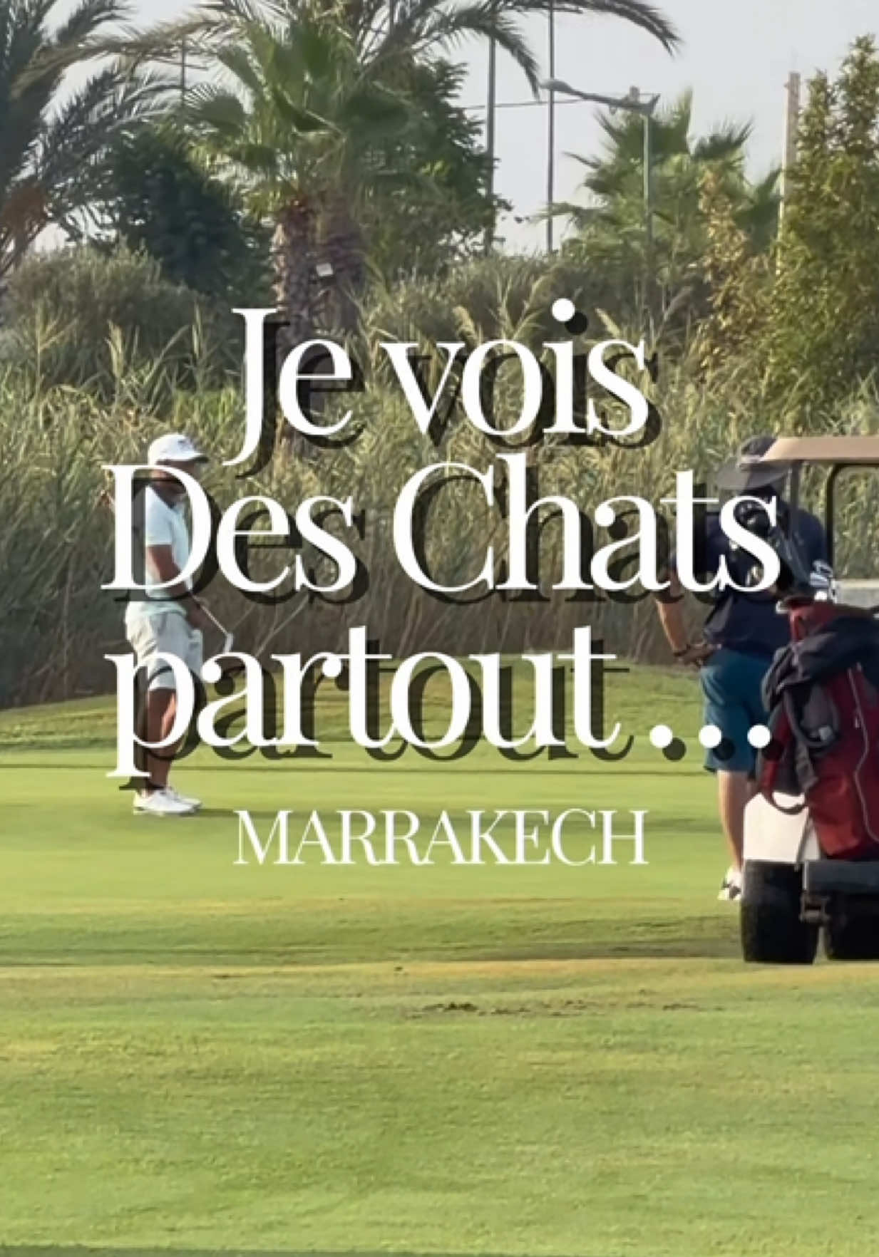 @MerciMaroc!
