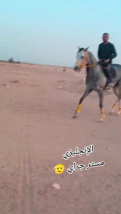 @چياب الاصايل