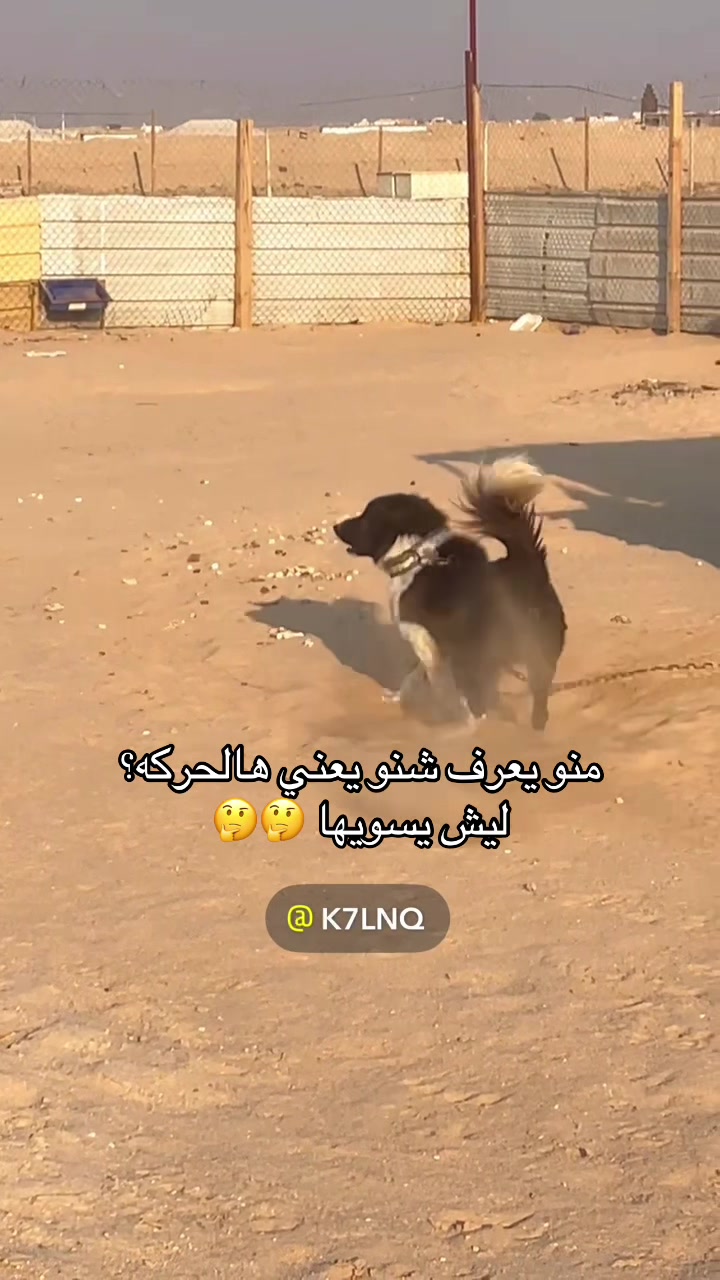 @K7🇰🇼