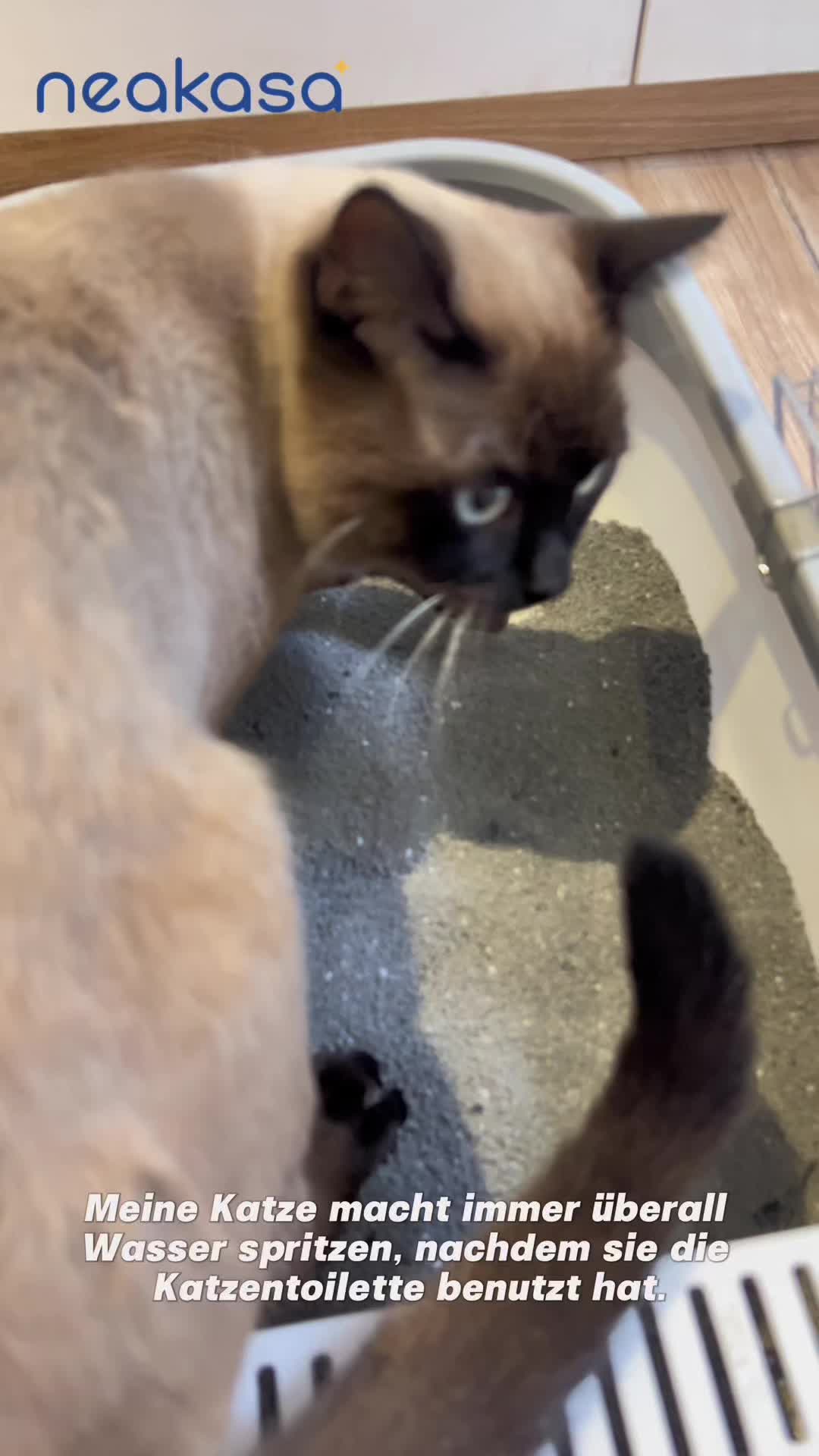 @Glückliche Katze