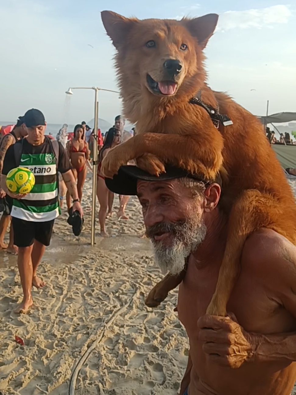 @Filipe Praieiro