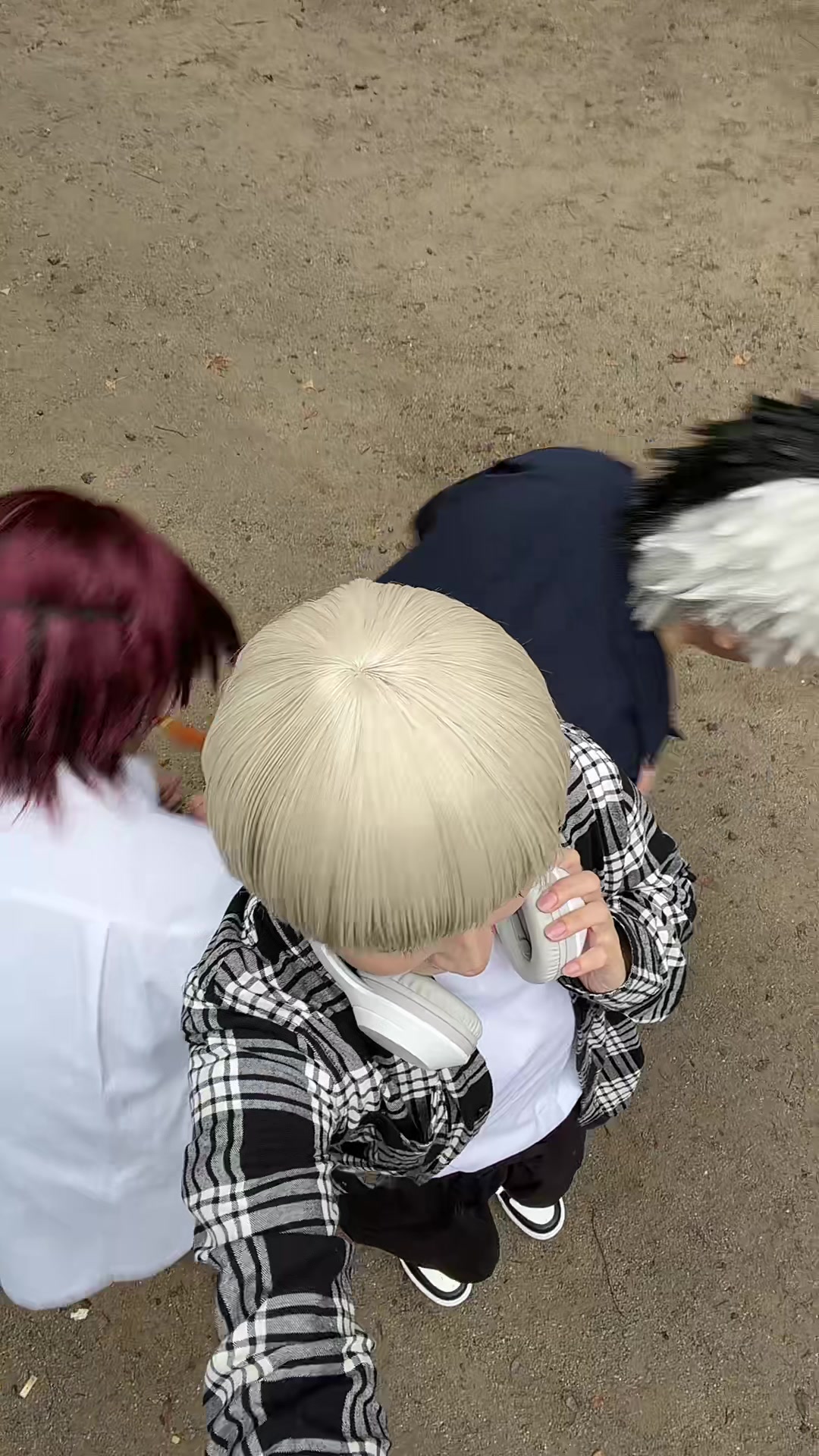 @ももみ🍑🍯9/4オルアコ,24Dハロ