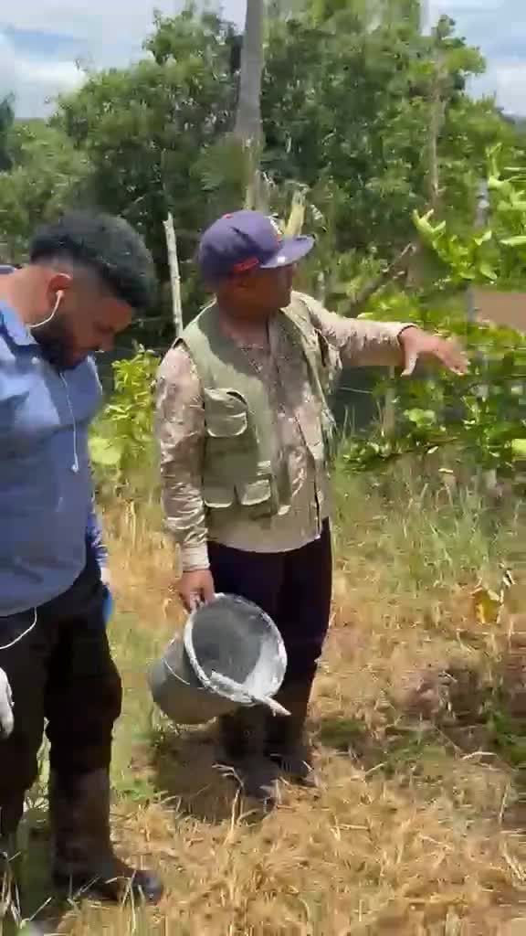 @Cítricos Ramirez 🍋