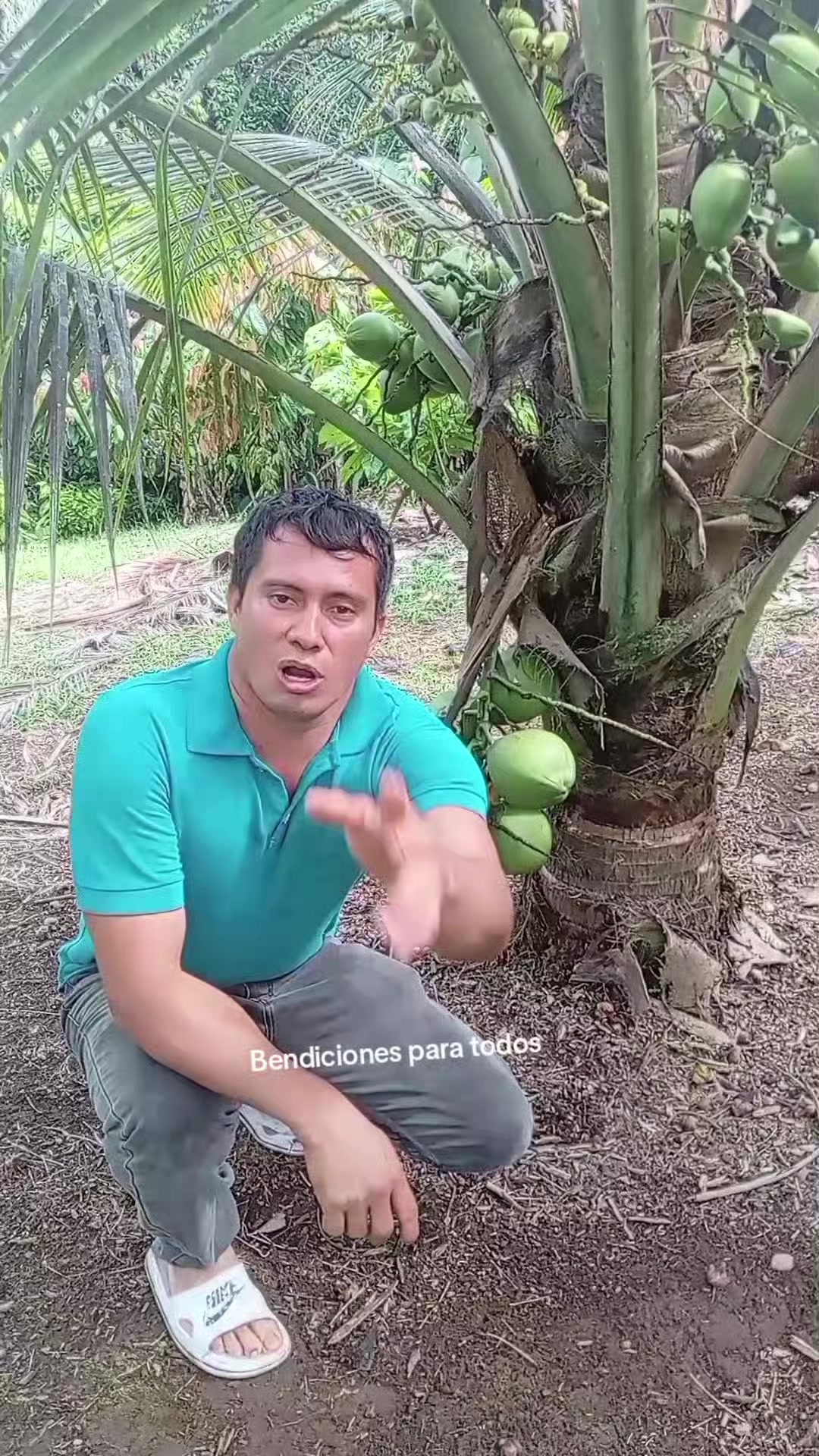 @Jairo desde el campo.