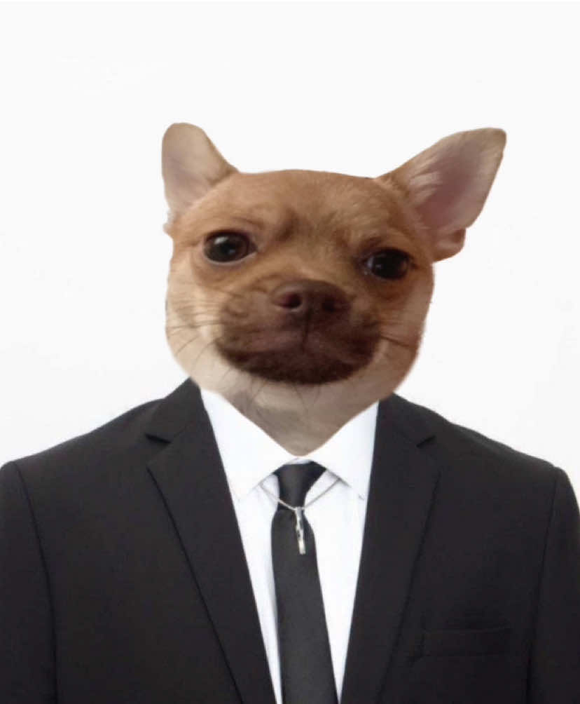 @abyuzzfan