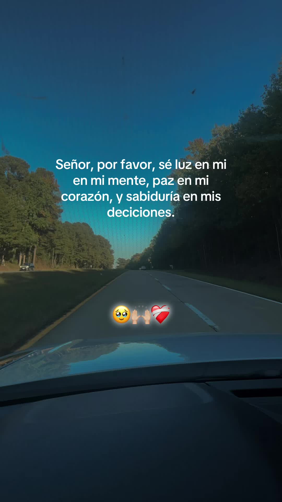 @lourdesruiz11🥰🫶🏻🎁🇸🇻🌲