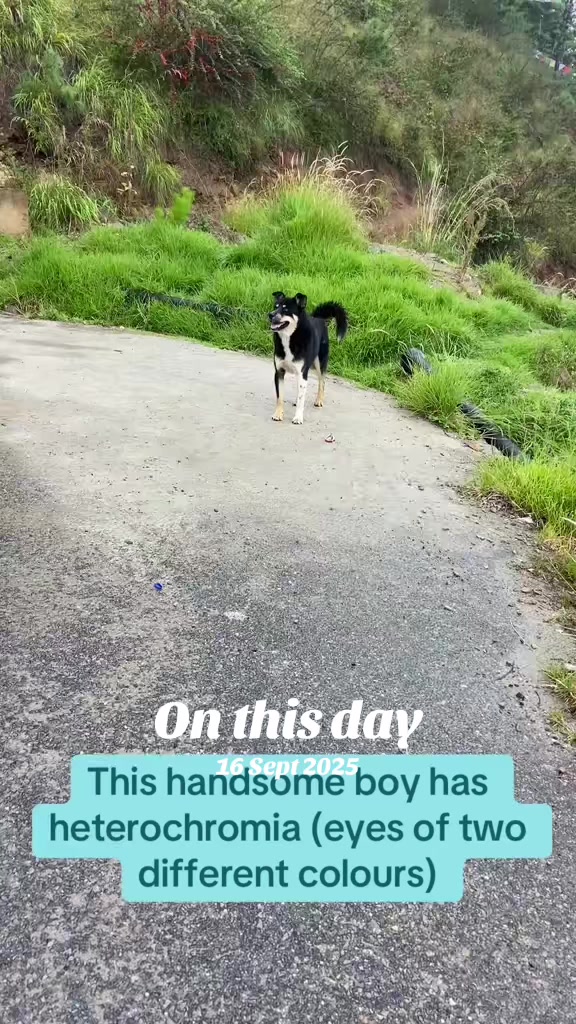@Rainbow