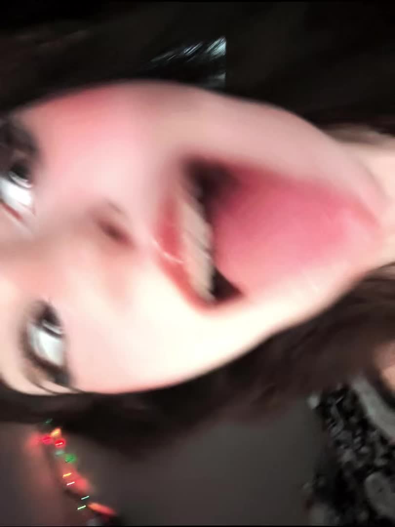 @raccoon