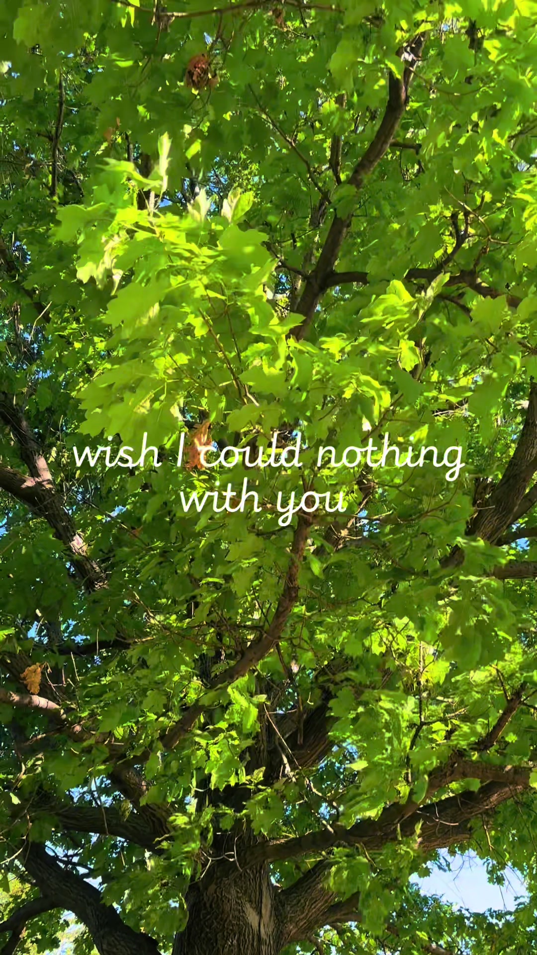 @Jennifer Ward