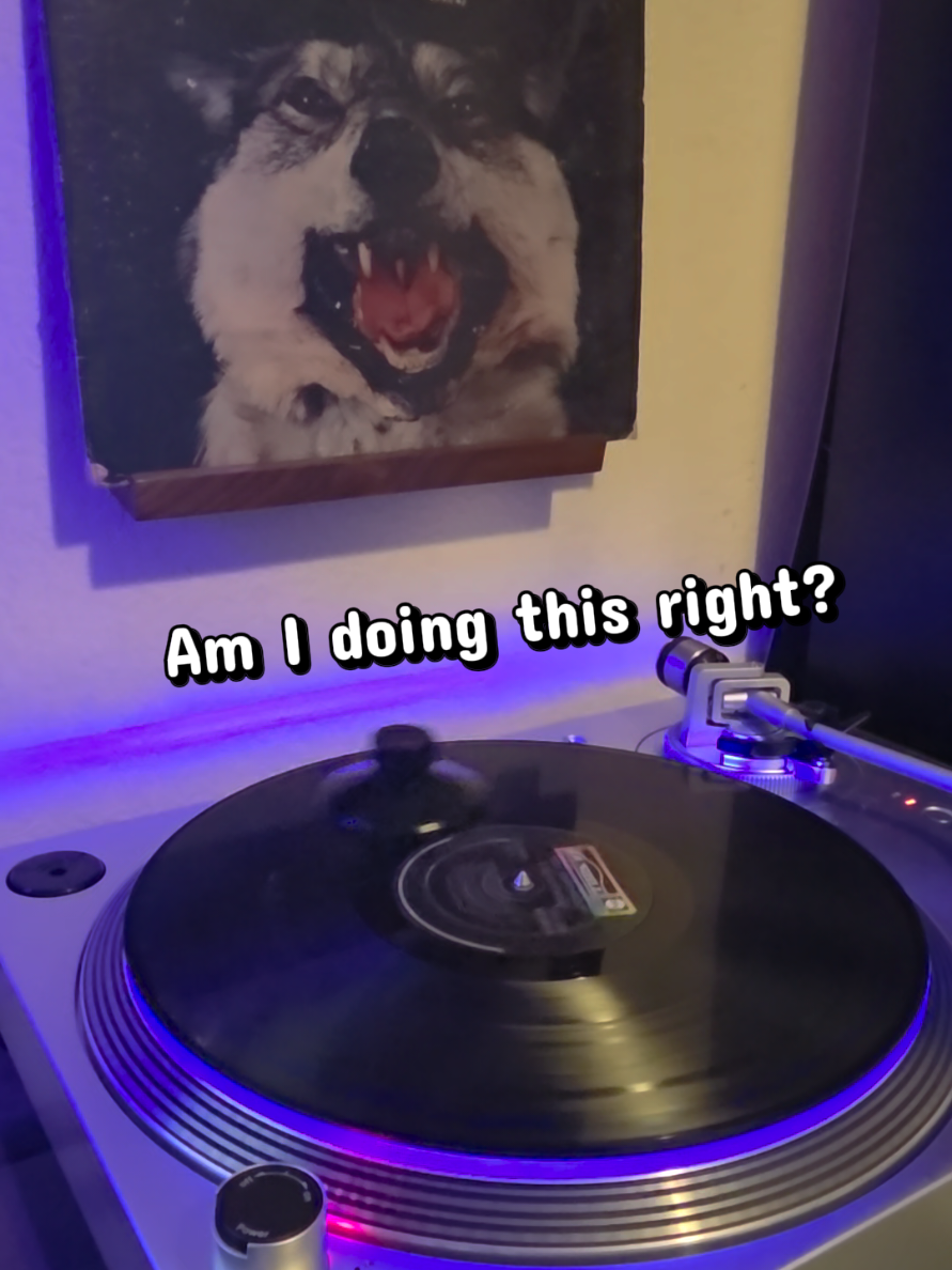 @LEDSlipmat by Vinyl Dood LLC