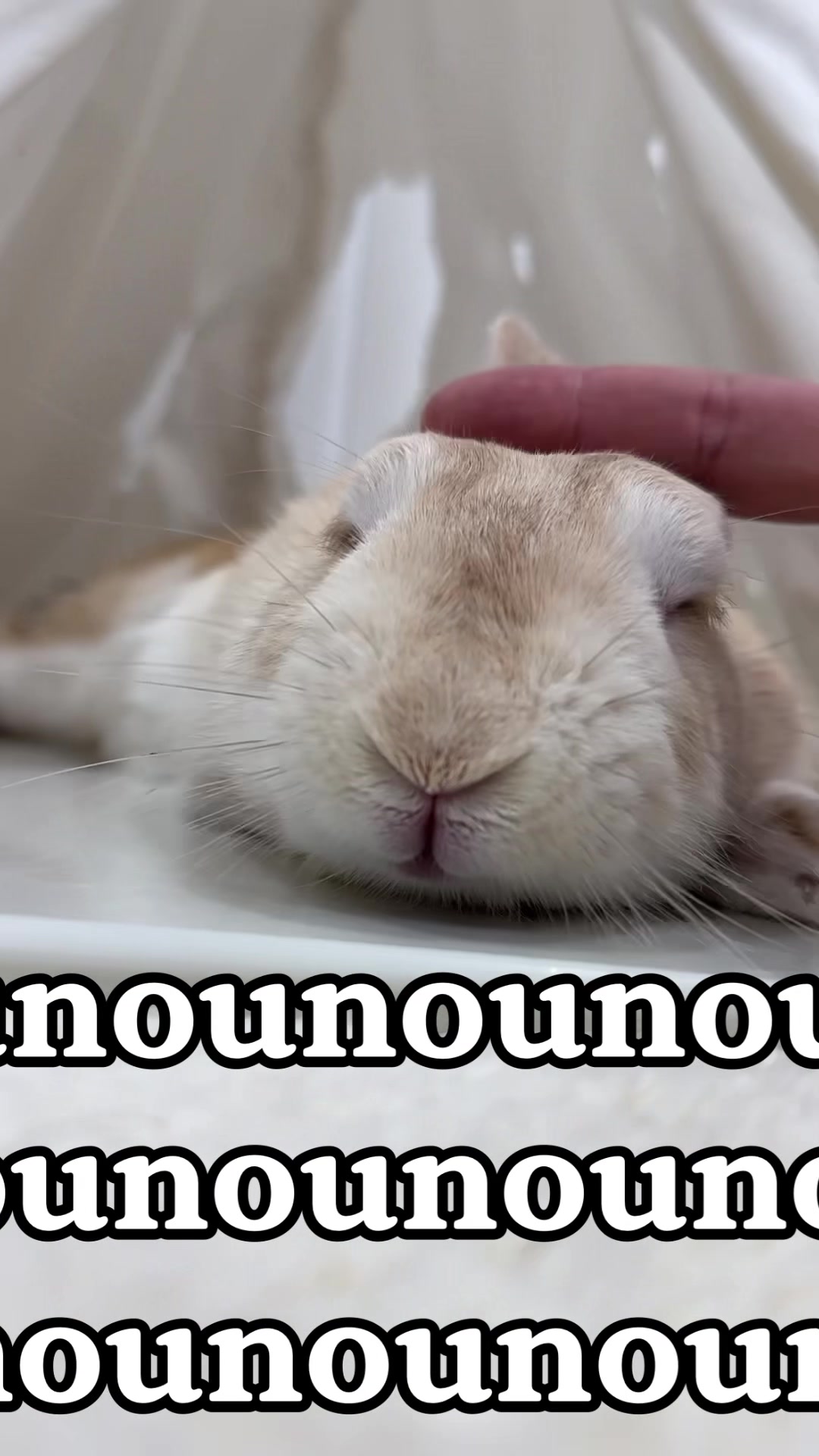 @WONDOO