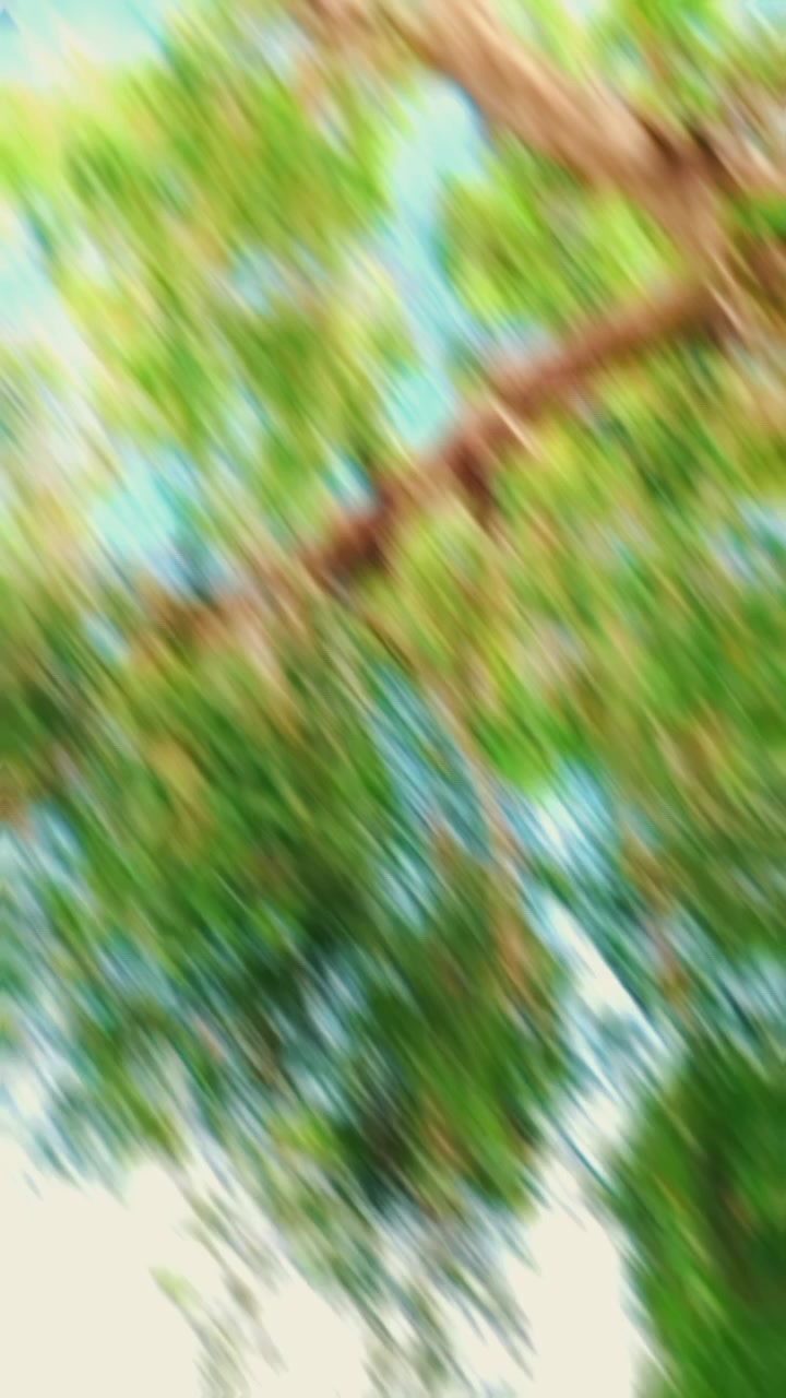 @༺★S𝒊𝒍𝒆𝒏𝒕ܔ༻