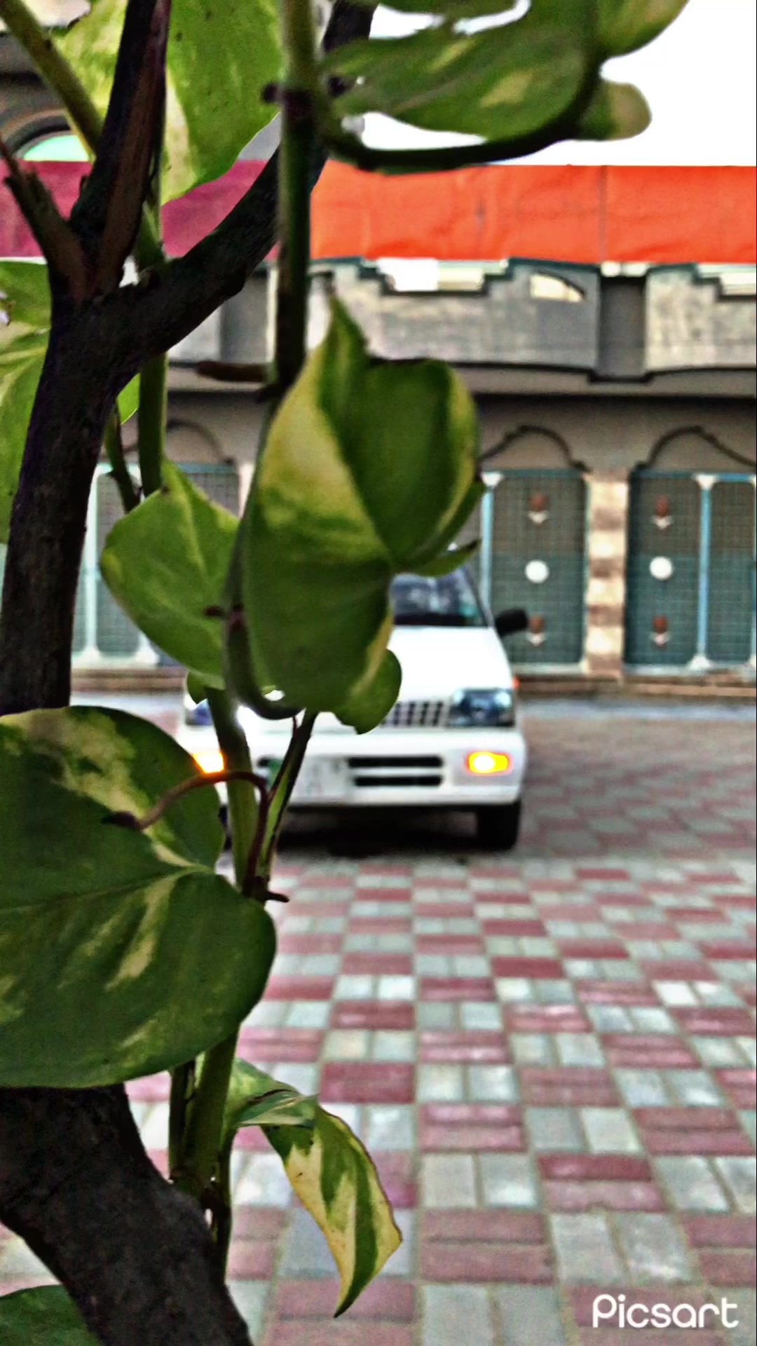 @🦅چوھدری نعمان فخرے رجوال