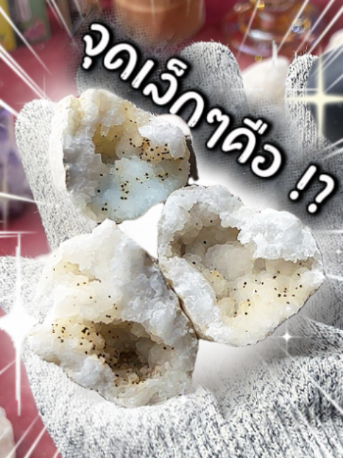 @Abo.Plus