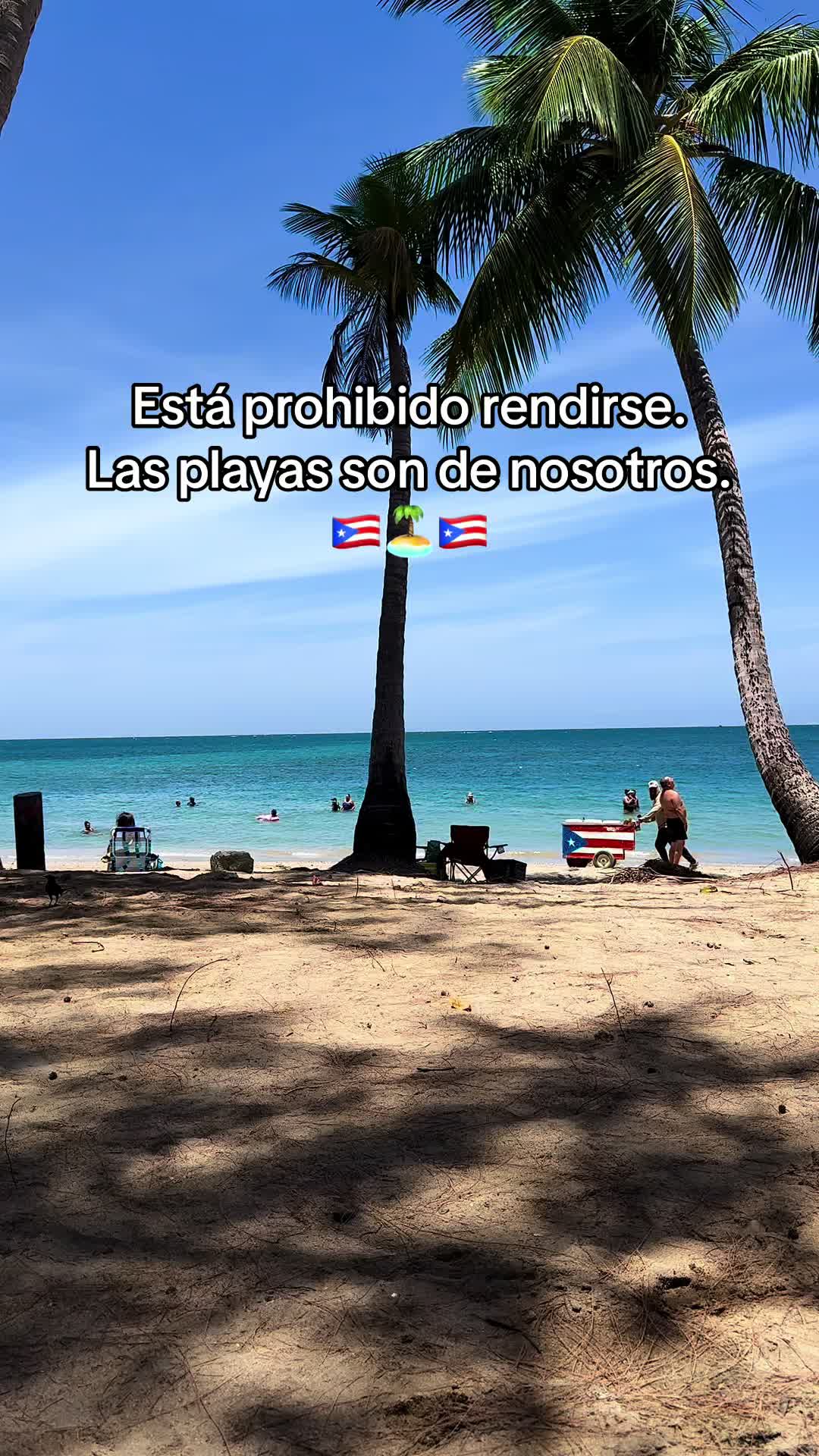 @Joel san🇵🇷🇵🇷🇵🇷