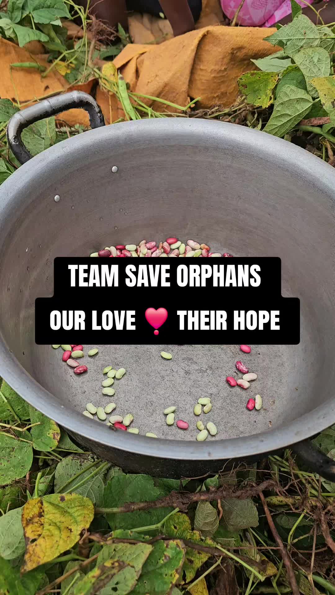 @TEAM SAVE ORPHANS