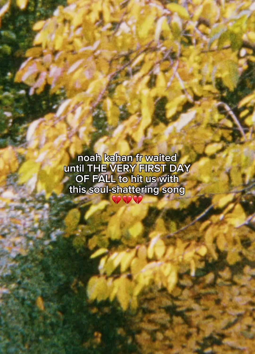 @forevernoahfan