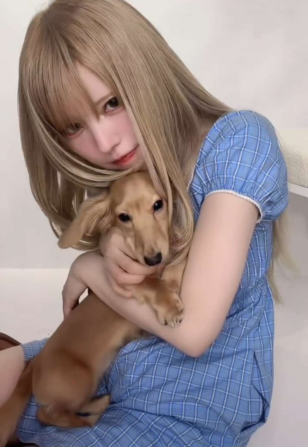 @益若つばさ🪽