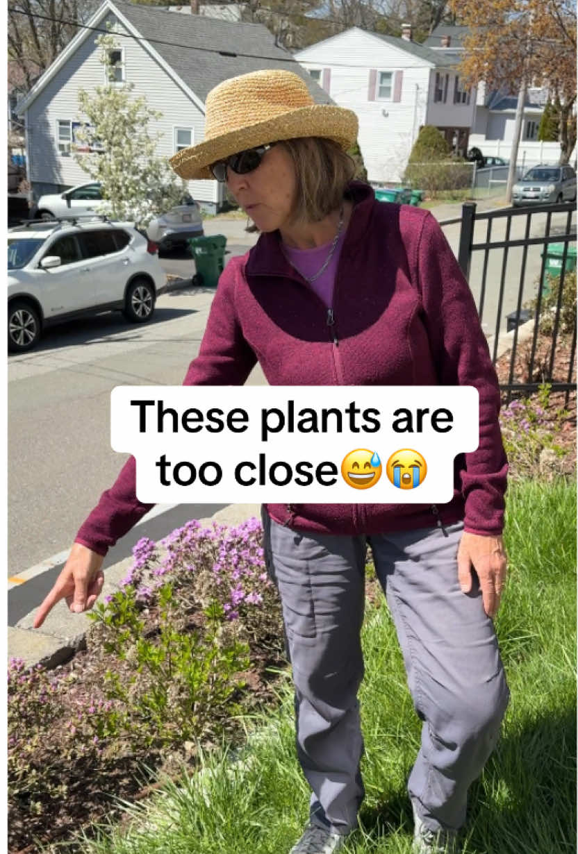 @You Can Do It Gardening