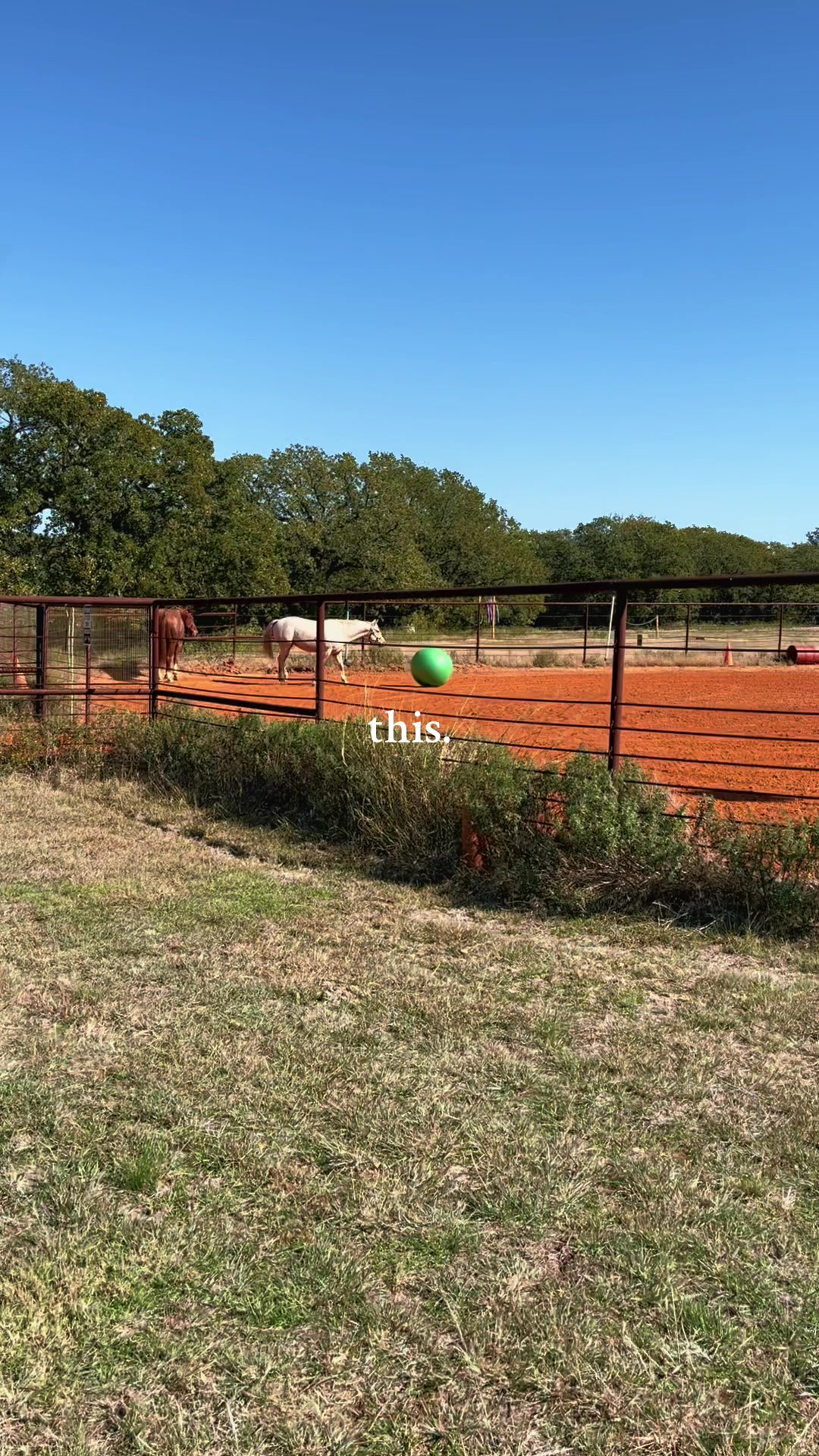 @haley&horses
