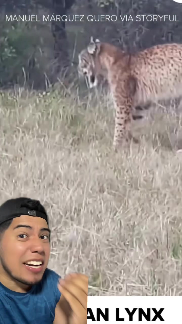 @Soy Sebassalvaje (dúos)