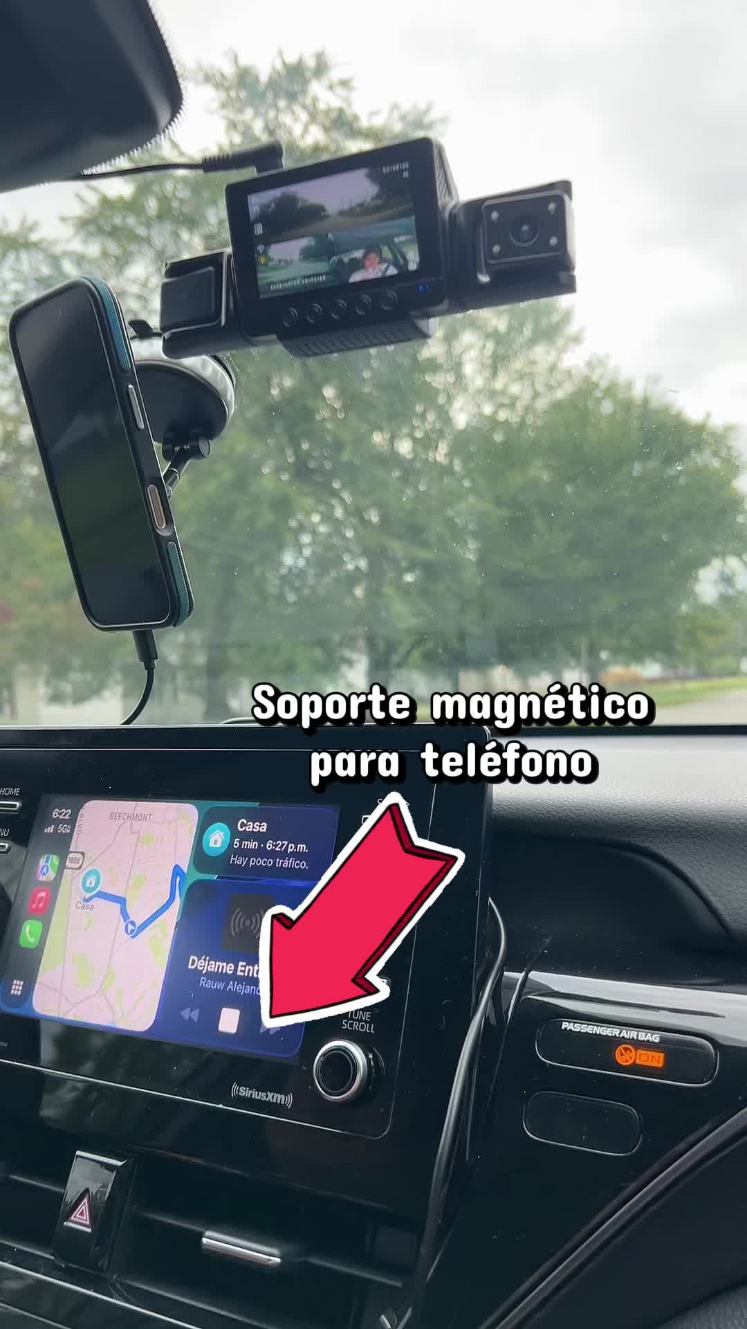 @Diana Fonte