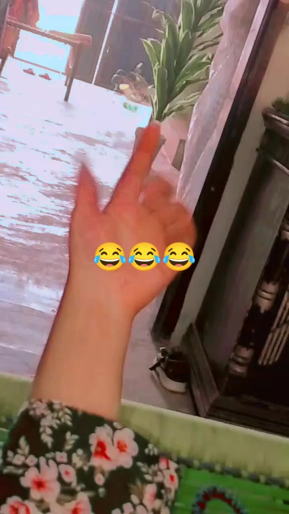 @𝘢ɳᵤ𝚖𝘢𝗅ⲓ𝐤 🎶
