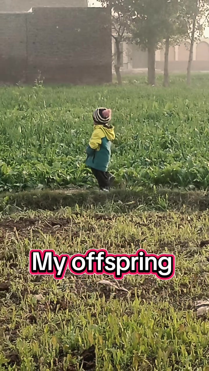 @irfpsy