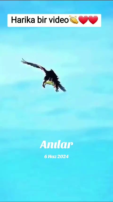 @yılmaz Çetinkaya