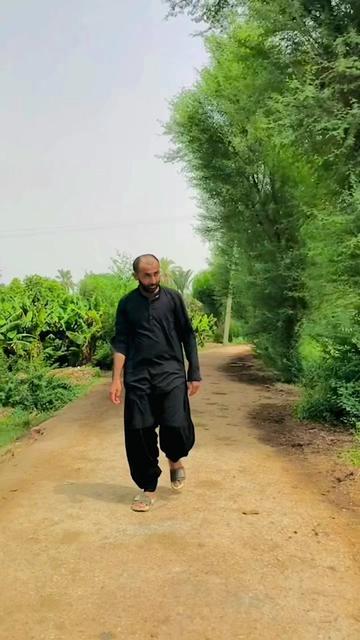 @alibhailashari6