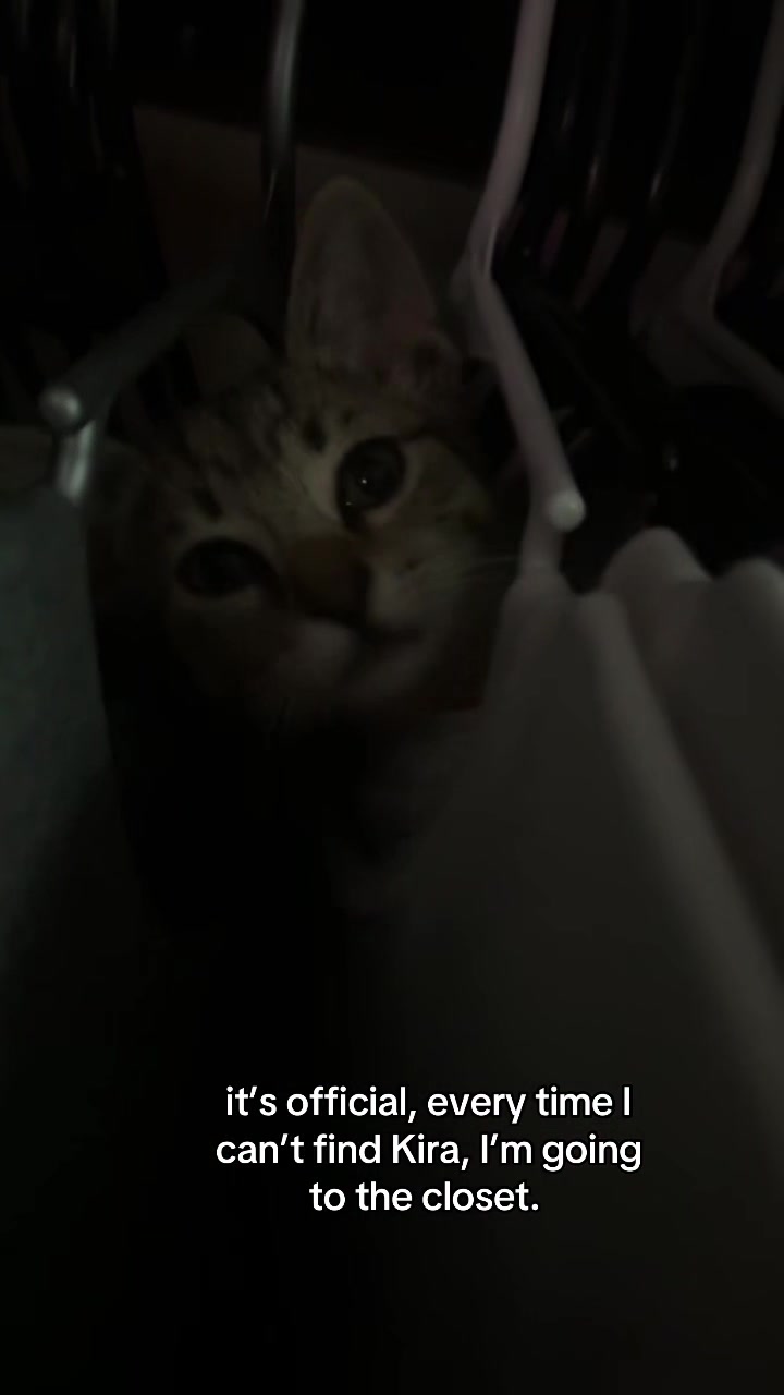 @โ๐๐๐๐๐ชโ