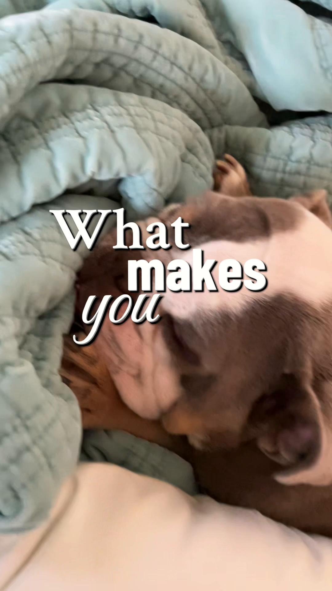 @Wulfpuppy