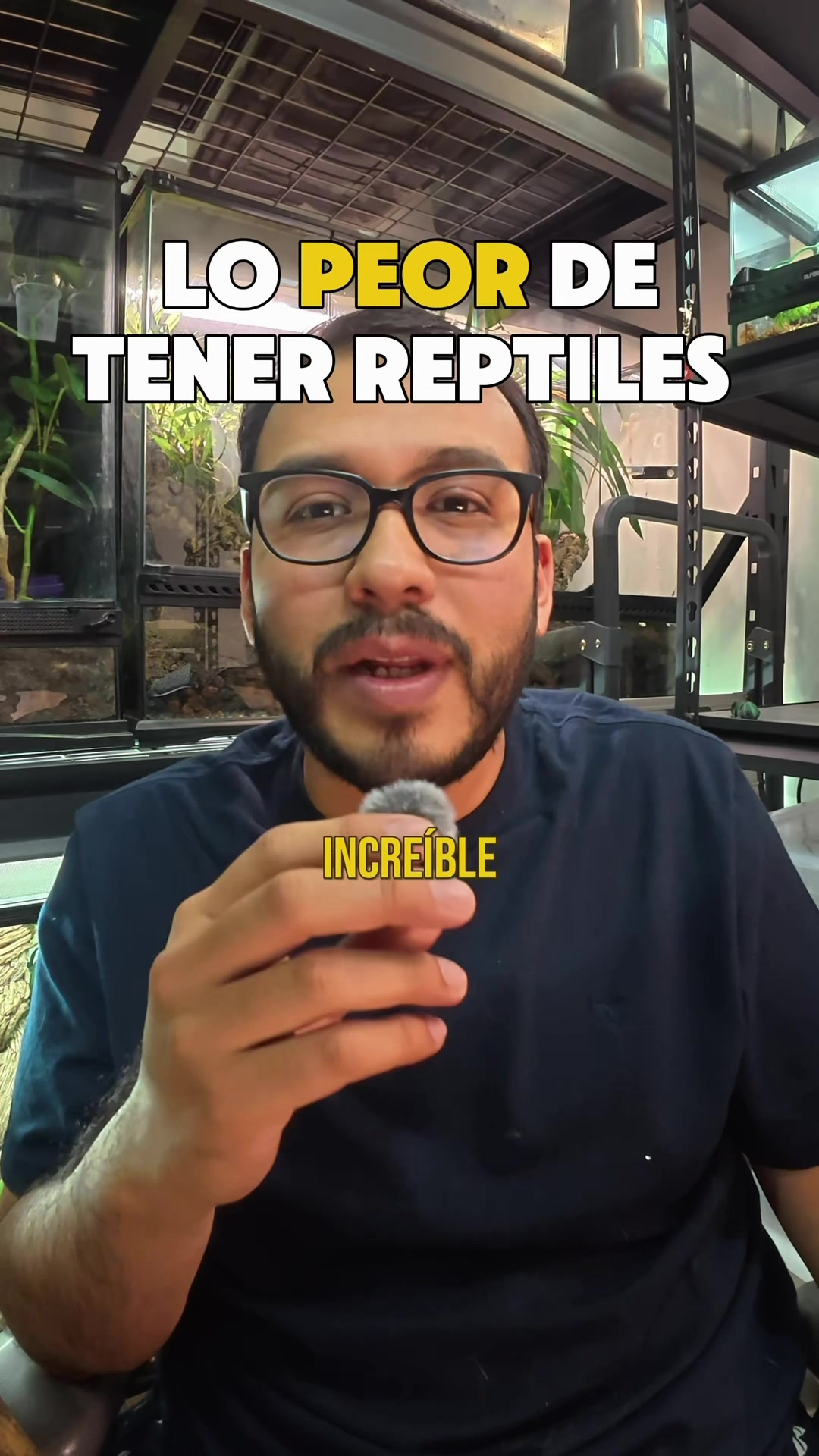 @Reptile Source