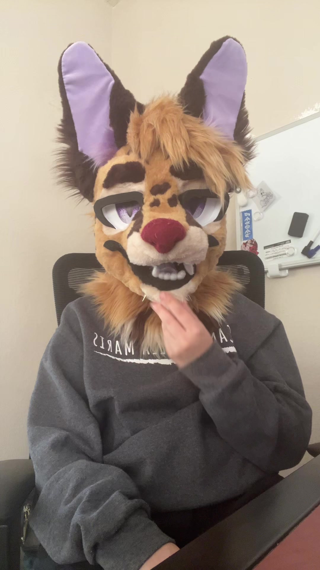 @JudasTheServal