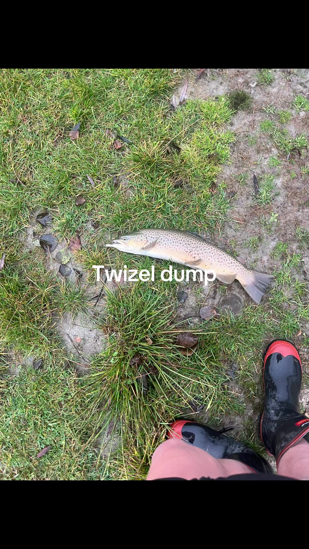 @Angus_ mtb