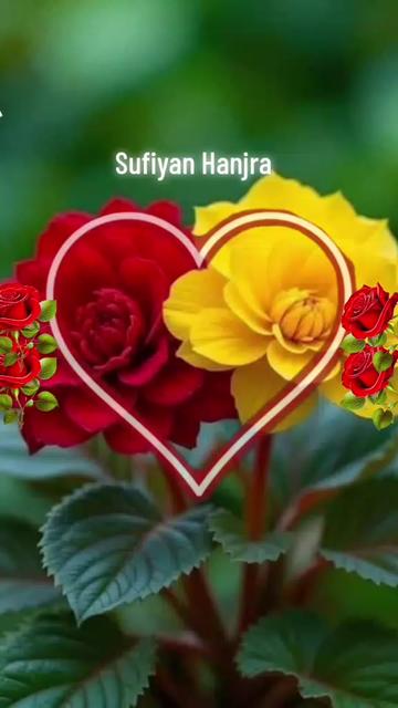 @Sufiyan Hanjra