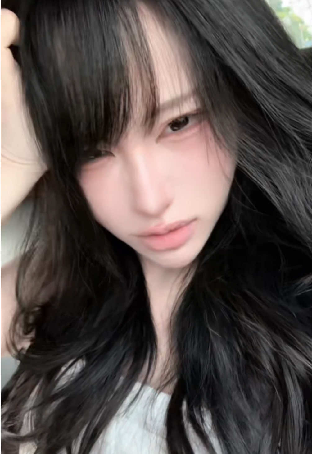 @Shiba.pw