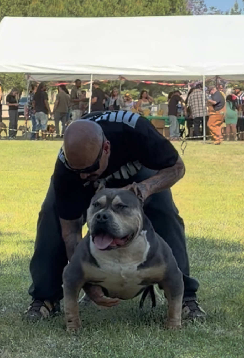 @@Dublinekennels