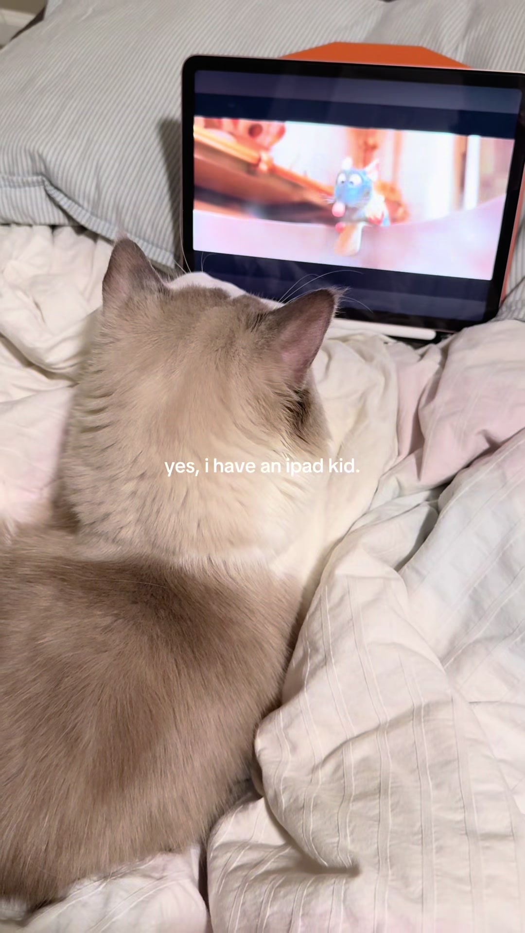 @bubby ₊˚ʚ .☘︎ ݁