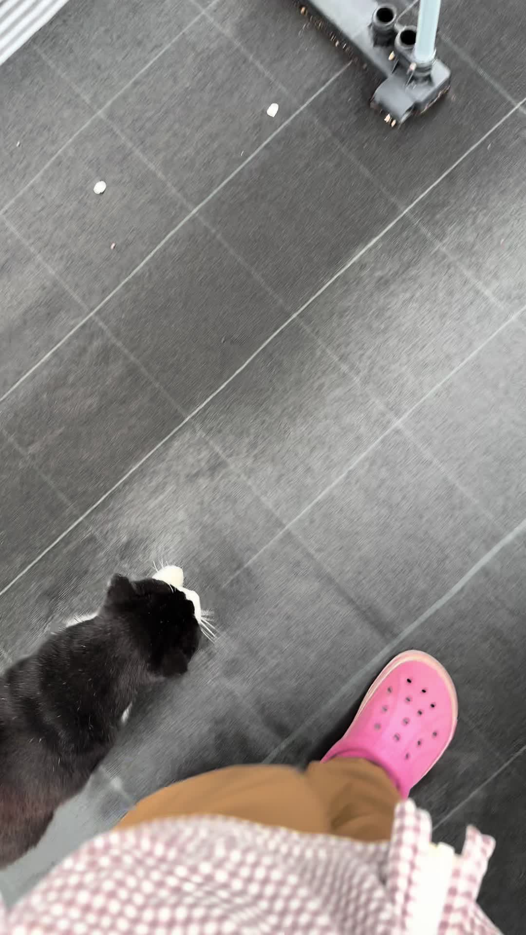 @JUN🍓👑農家のオバタン
