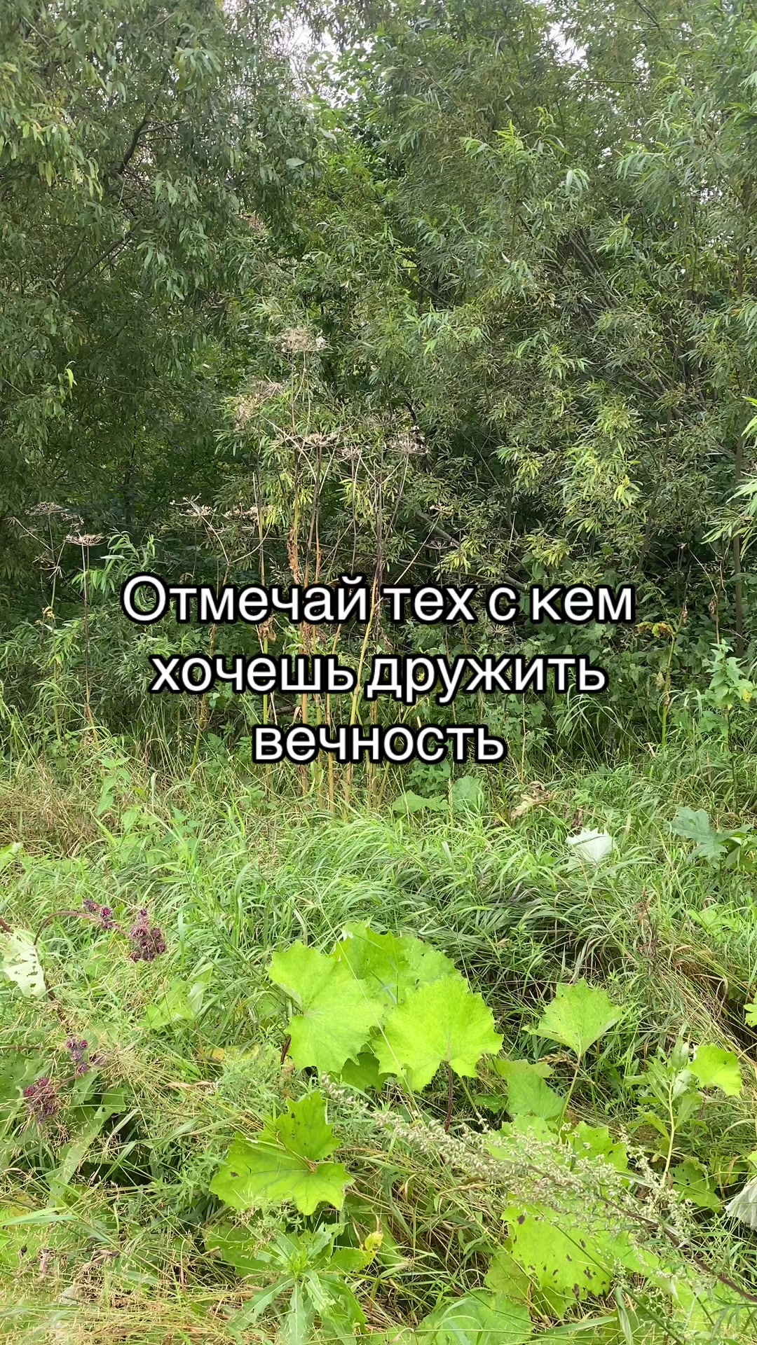 @Данил