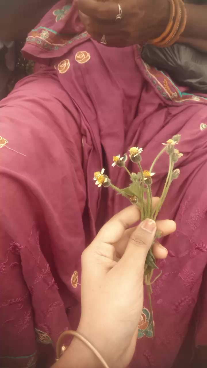 @Seno🍁