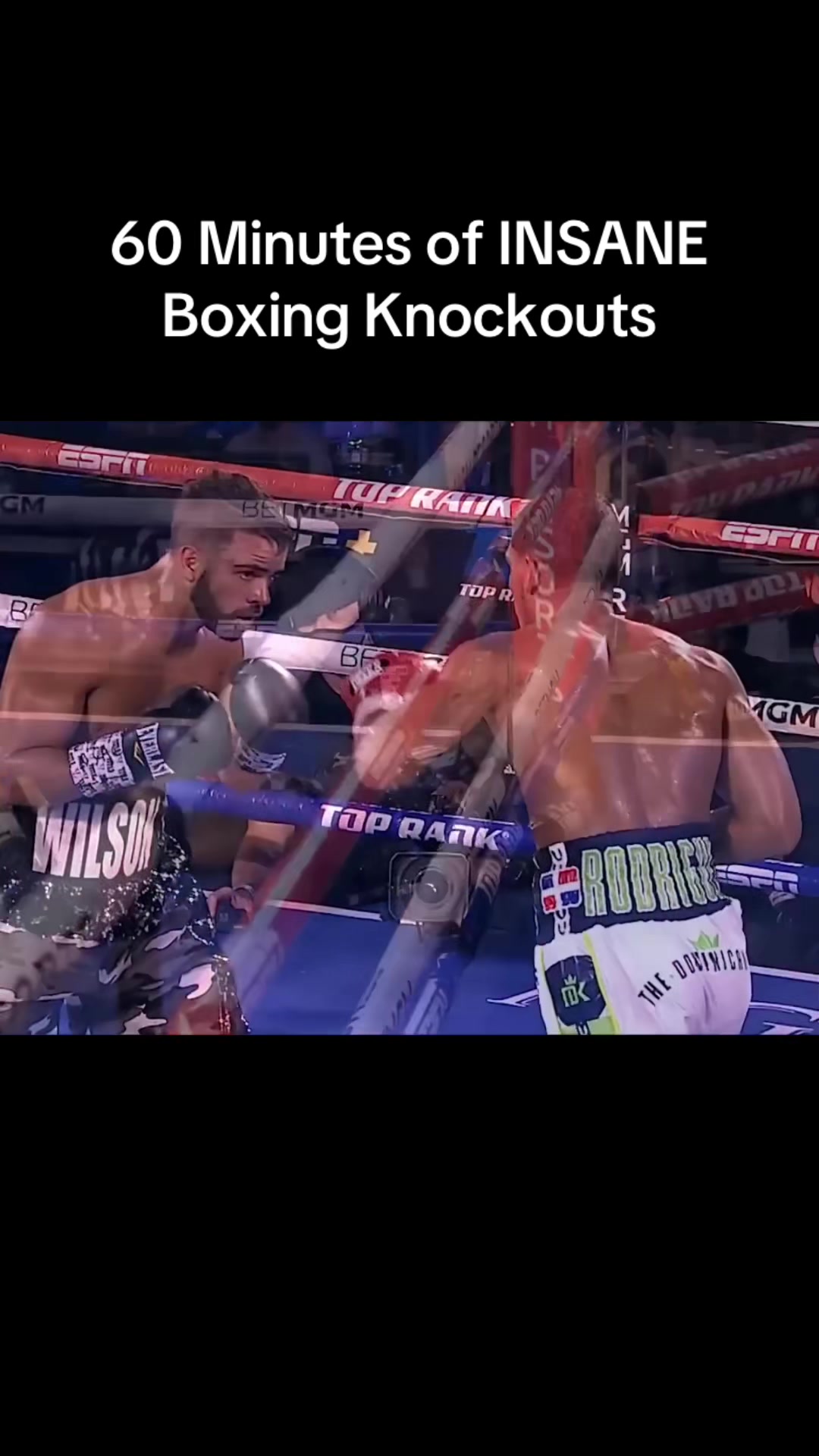 @gaubsksnj UFC