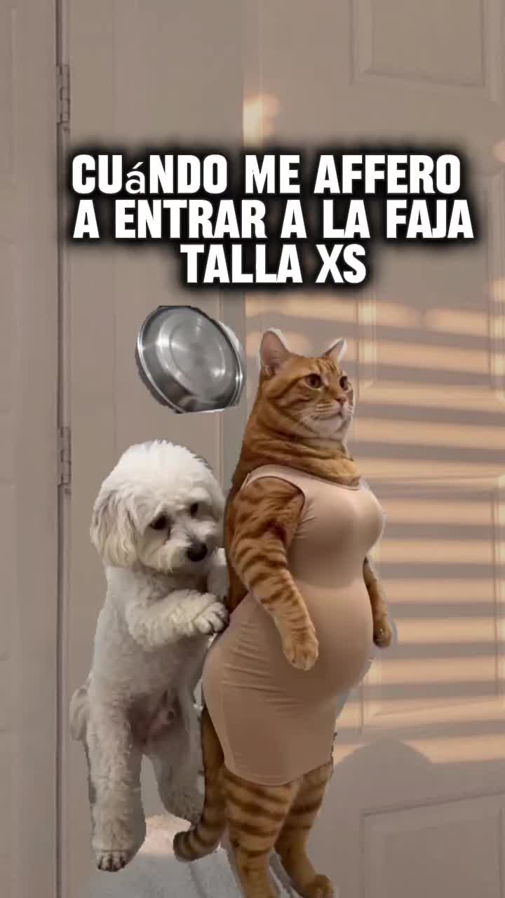 @Isaa